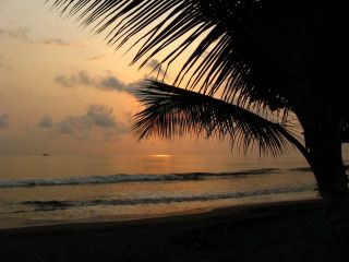 IMG_3656.jpg