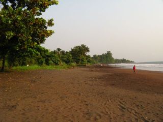 IMG_3748.jpg