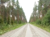 IMG_1180.jpg