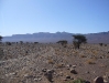 P1020375.JPG