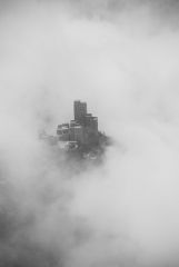 DSC_2004.jpg