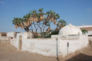 DSC_2061.jpg