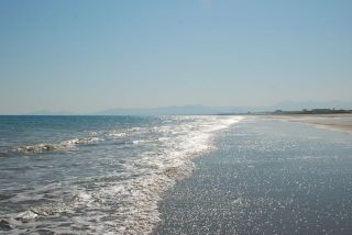 DSC_2489.jpg
