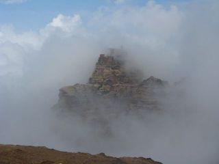 IMG_2859.jpg